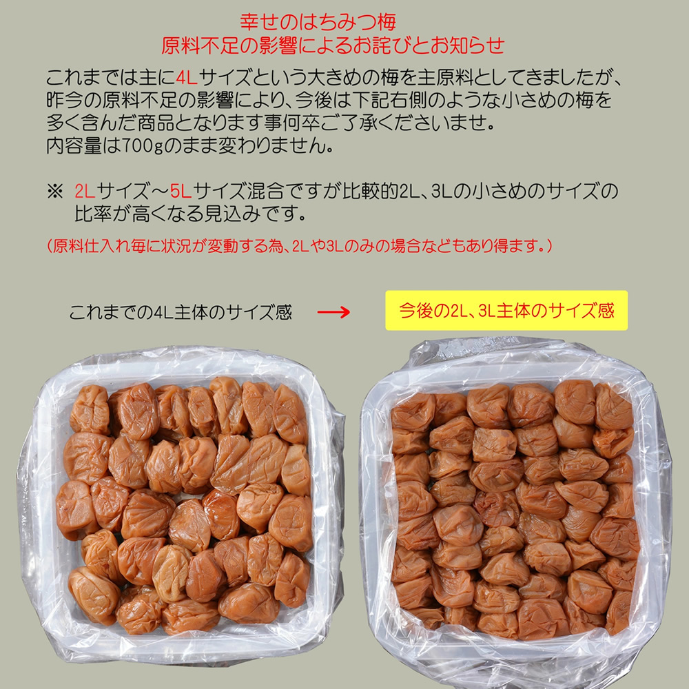 幸せのはちみつ梅1